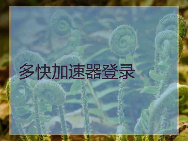 多快加速器登录