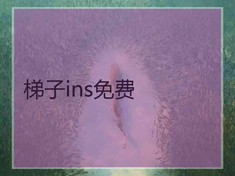 梯子ins免费