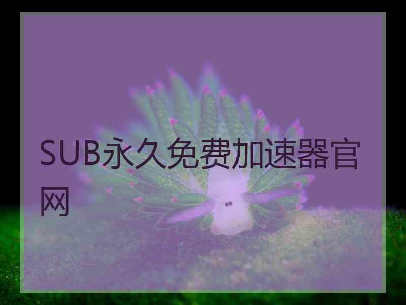 SUB永久免费加速器官网