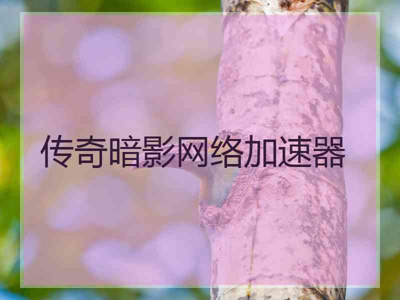 传奇暗影网络加速器