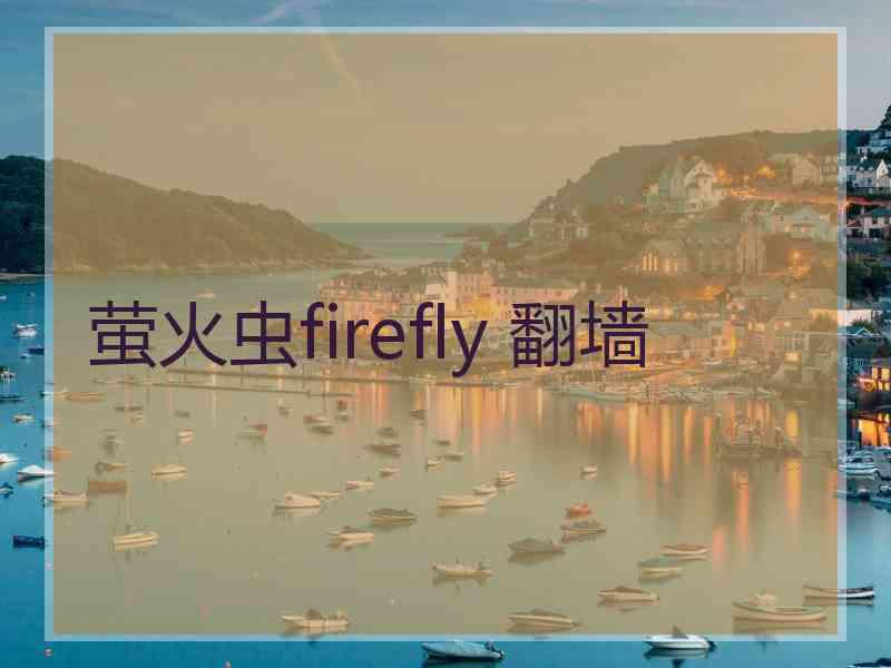 萤火虫firefly 翻墙