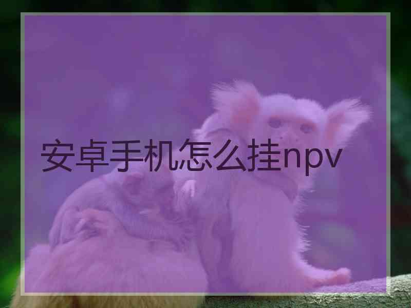 安卓手机怎么挂npv