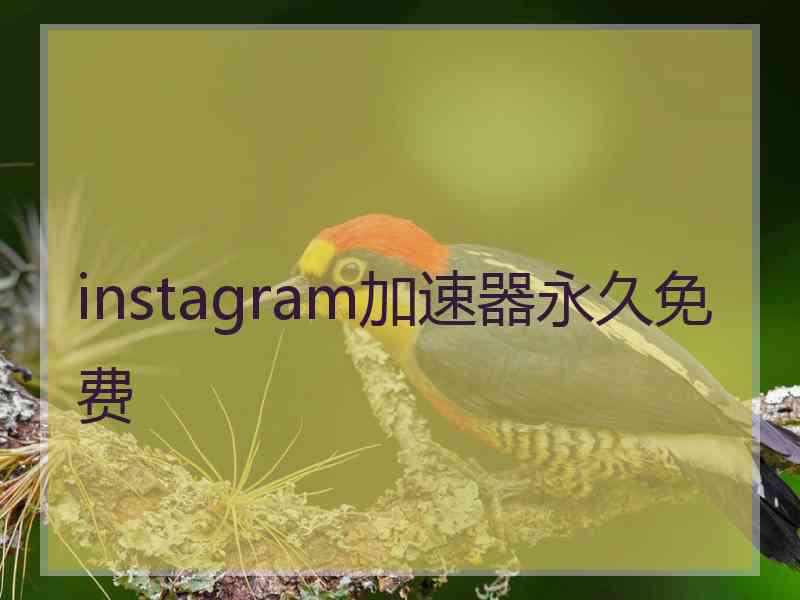 instagram加速器永久免费