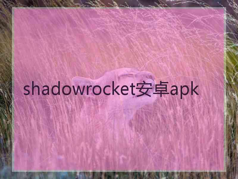 shadowrocket安卓apk