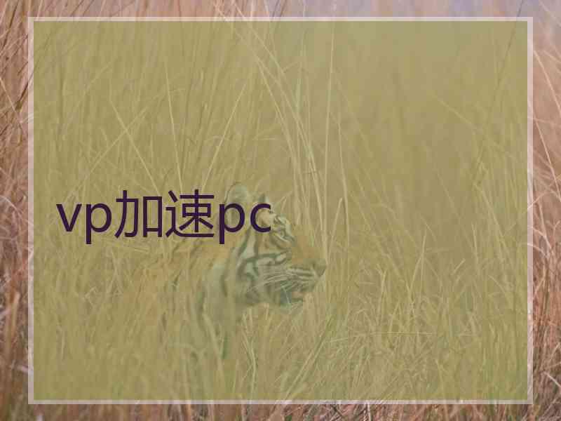 vp加速pc