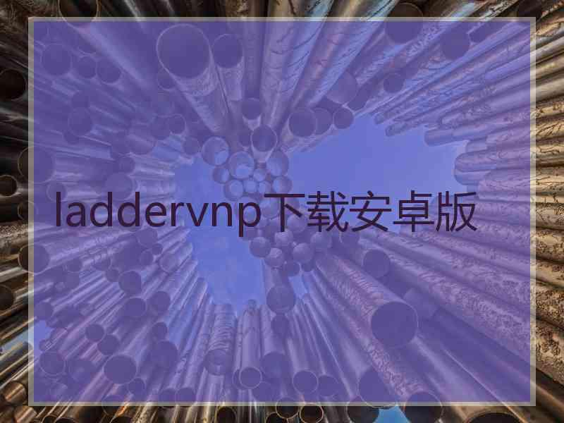 laddervnp下载安卓版