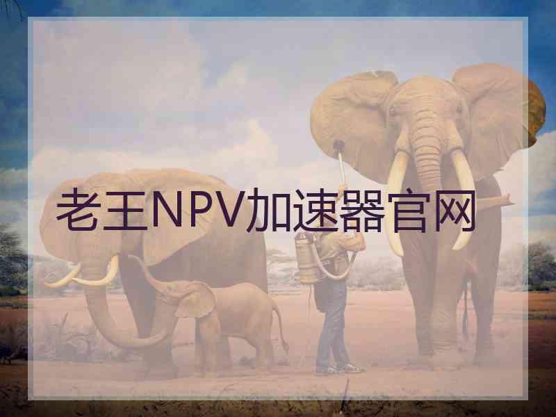 老王NPV加速器官网