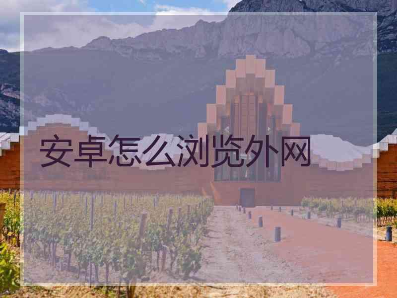 安卓怎么浏览外网