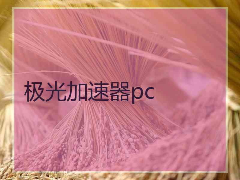 极光加速器pc