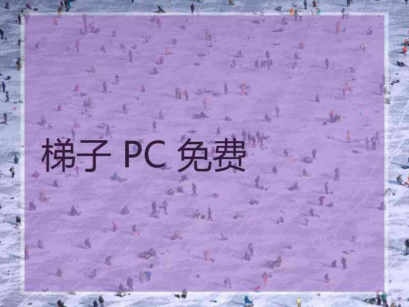 梯子 PC 免费