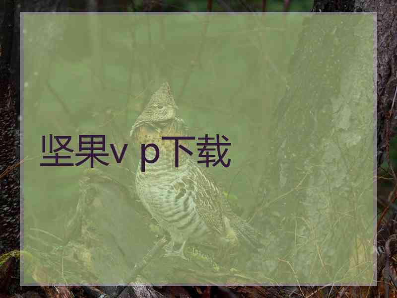 坚果v p下载