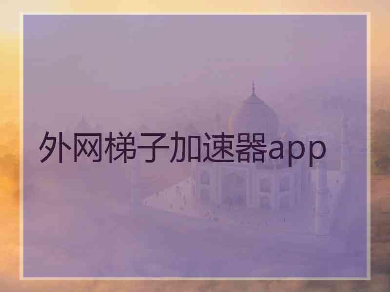 外网梯子加速器app