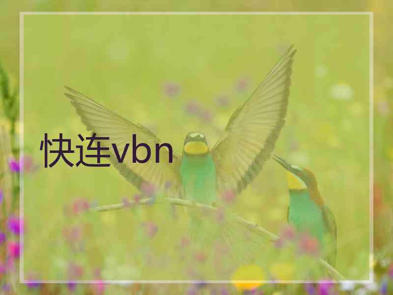 快连vbn