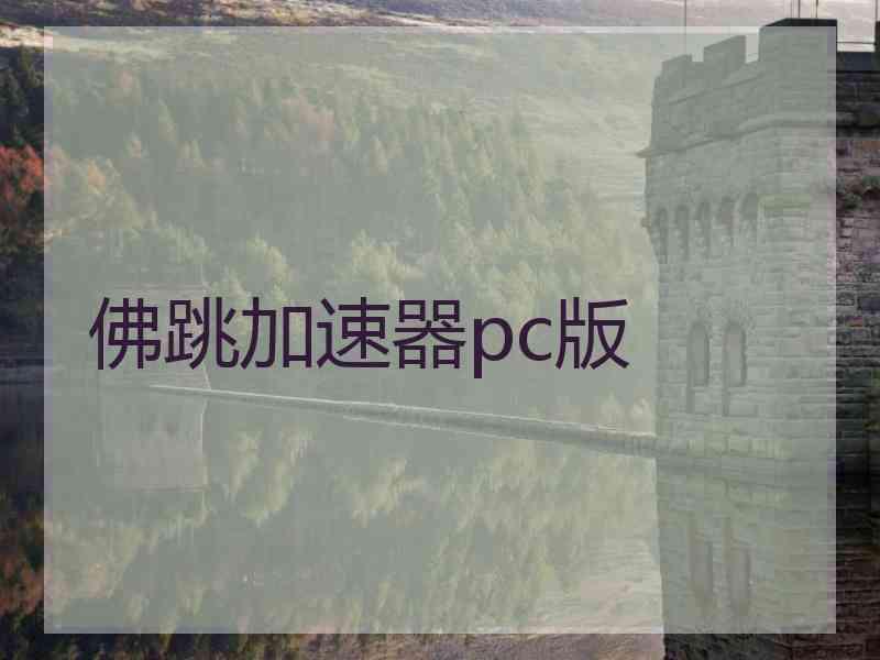 佛跳加速器pc版