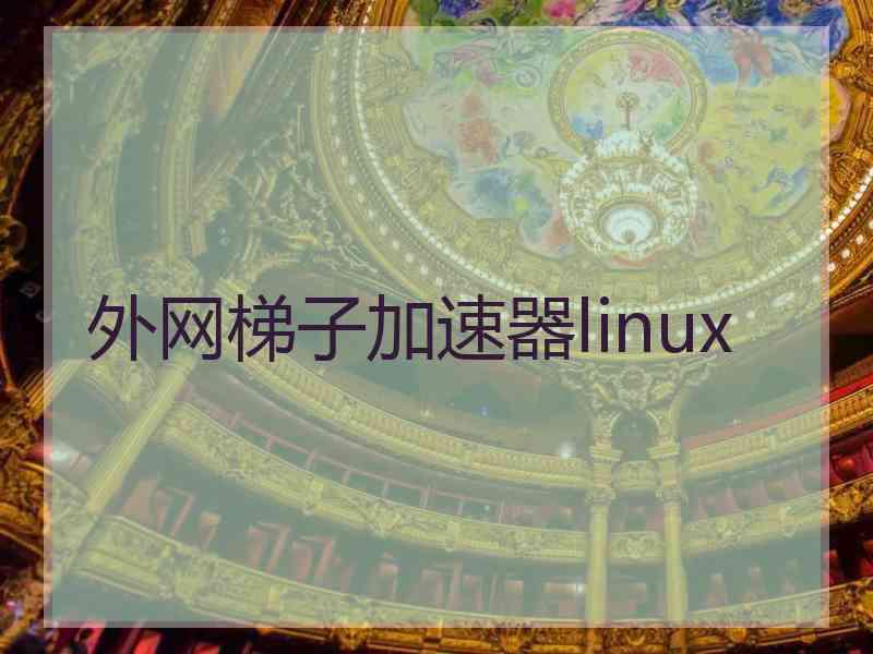 外网梯子加速器linux