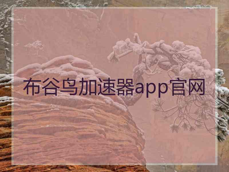 布谷鸟加速器app官网