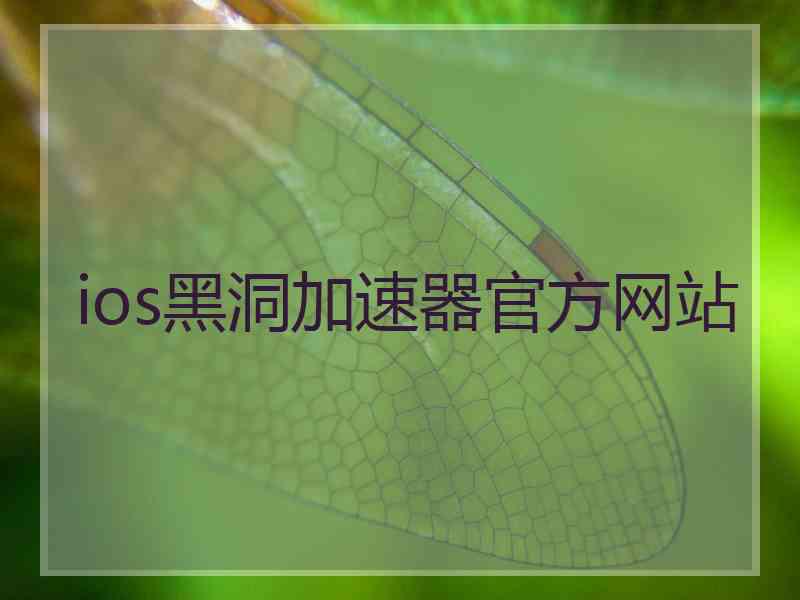 ios黑洞加速器官方网站