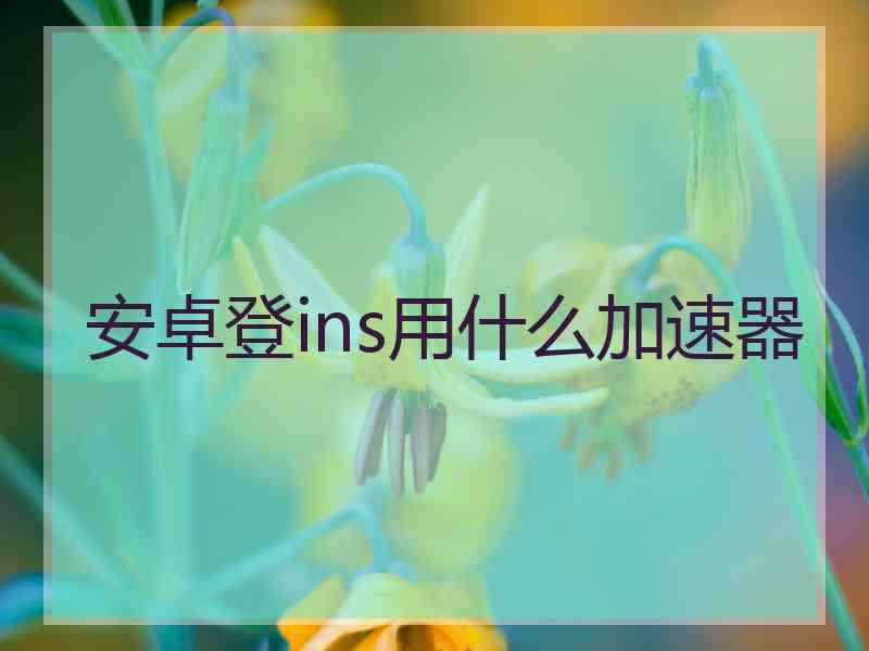 安卓登ins用什么加速器