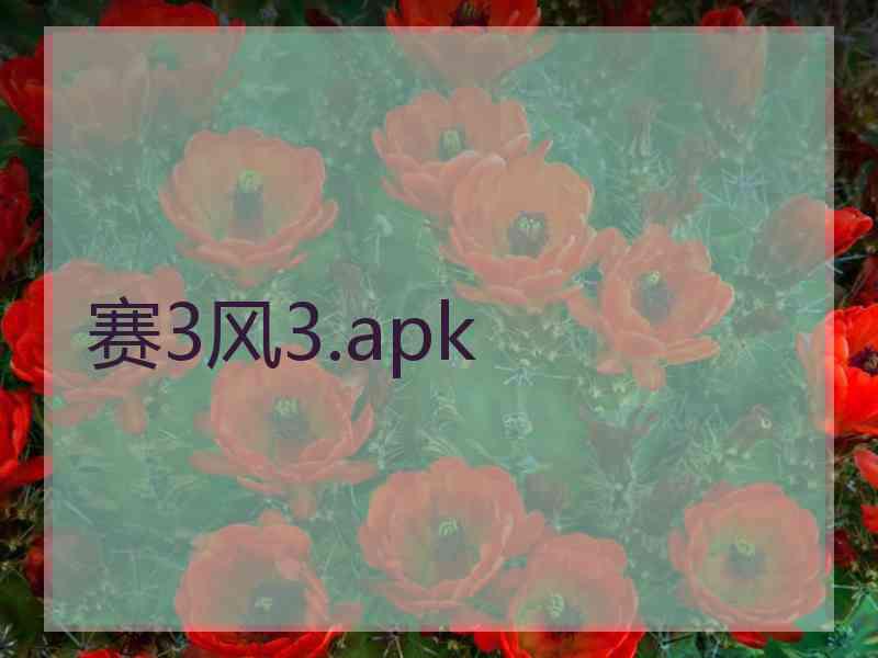 赛3风3.apk