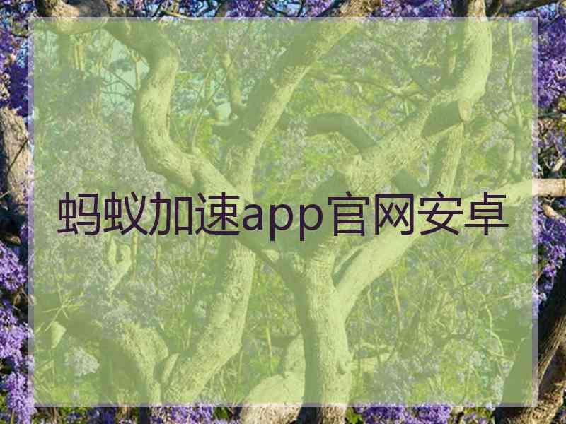 蚂蚁加速app官网安卓