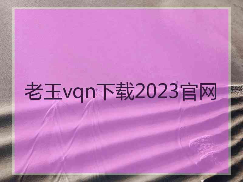 老王vqn下载2023官网