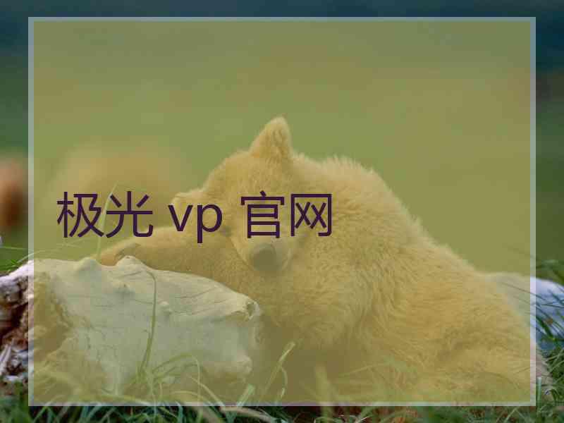 极光 vp 官网