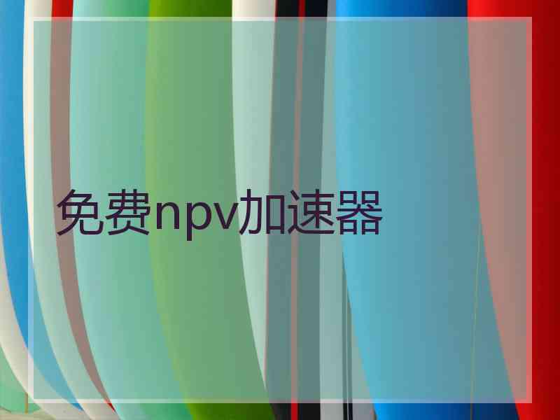 免费npv加速器