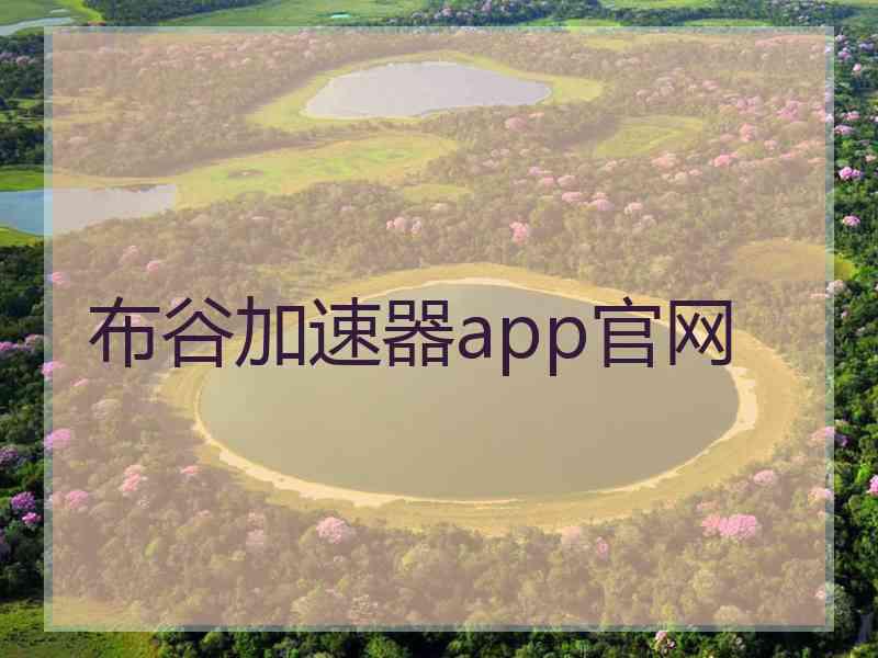 布谷加速器app官网