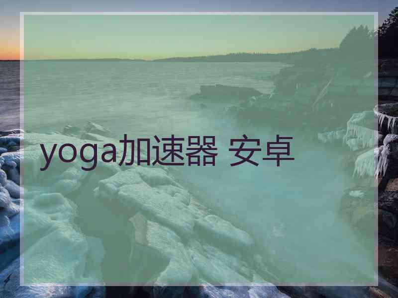 yoga加速器 安卓