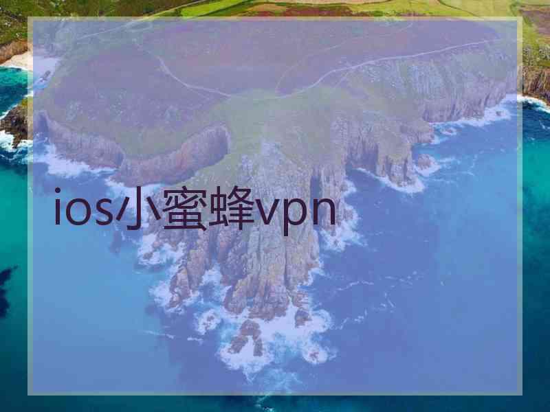 ios小蜜蜂vpn