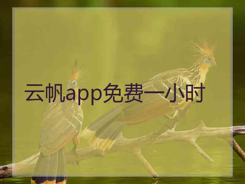 云帆app免费一小时