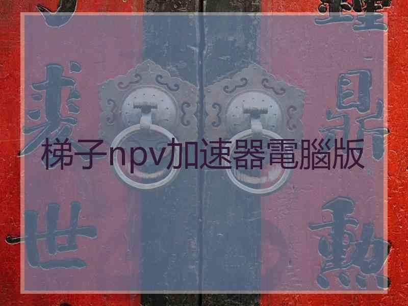 梯子npv加速器電腦版