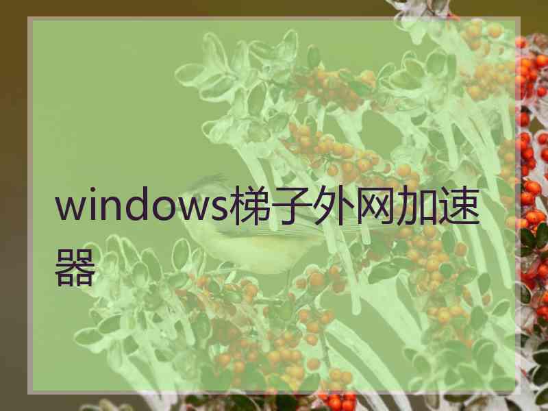 windows梯子外网加速器