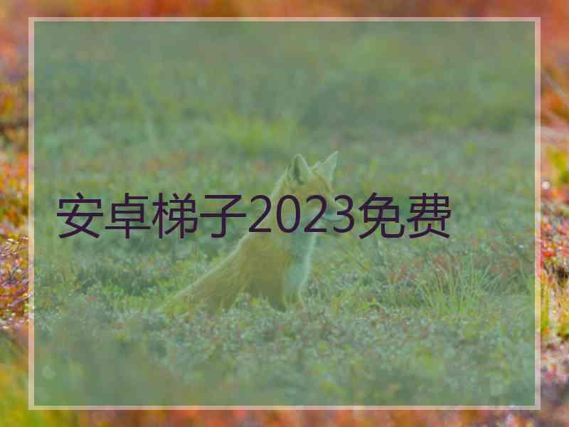 安卓梯子2023免费