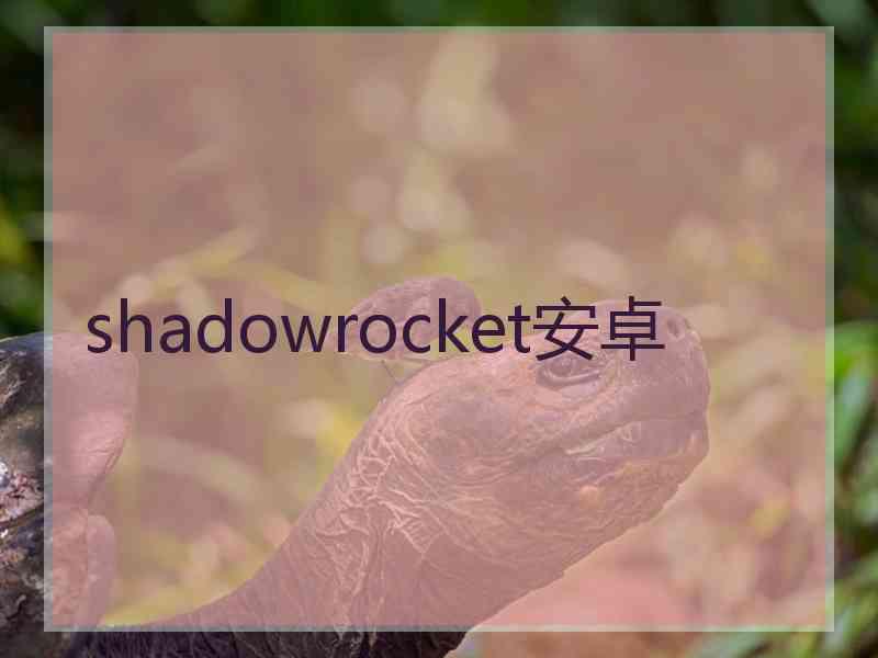 shadowrocket安卓