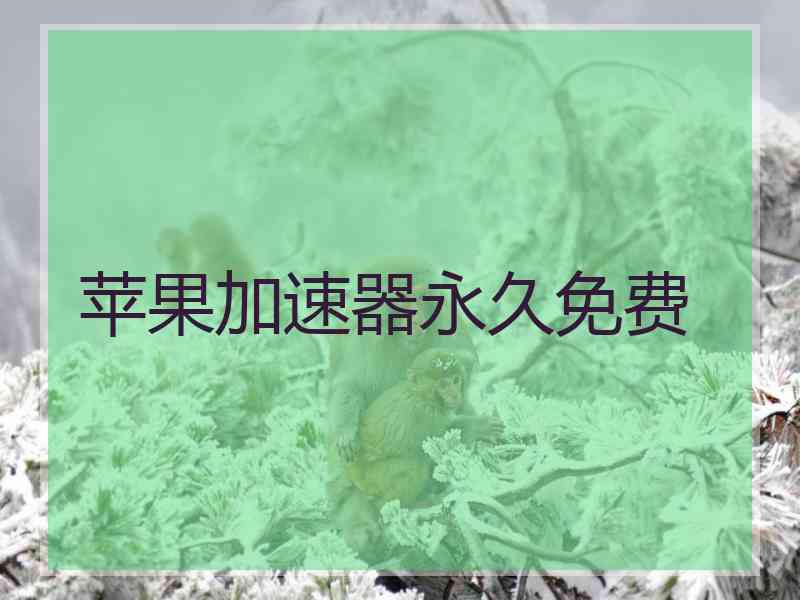 苹果加速器永久免费