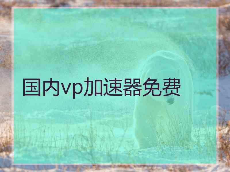 国内vp加速器免费