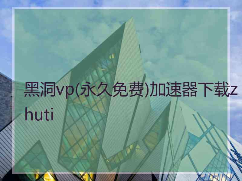 黑洞vp(永久免费)加速器下载zhuti