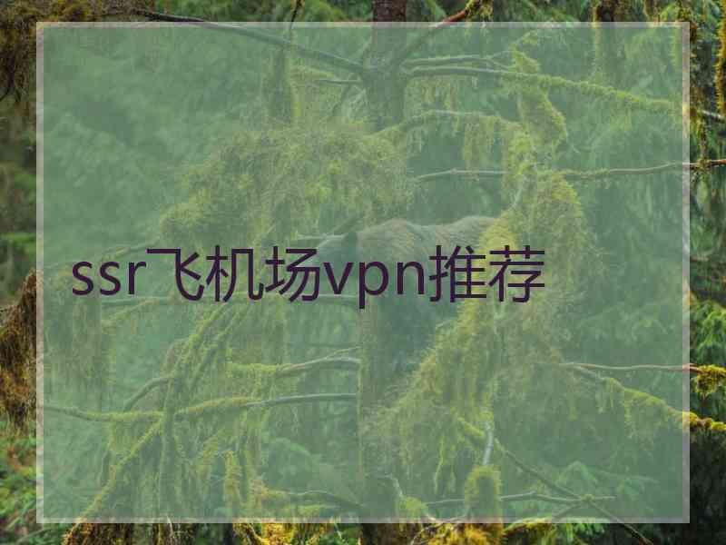 ssr飞机场vpn推荐