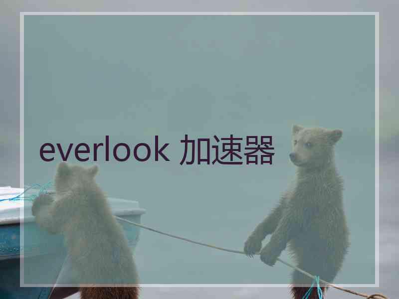 everlook 加速器