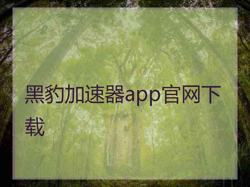 黑豹加速器app官网下载