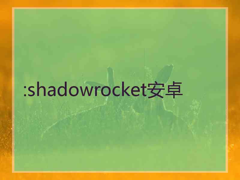 :shadowrocket安卓