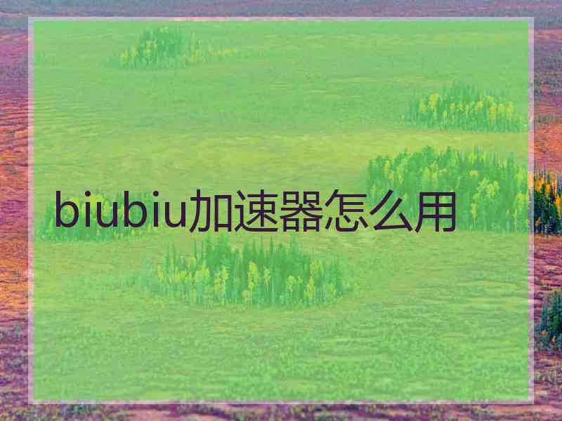 biubiu加速器怎么用