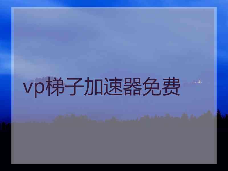 vp梯子加速器免费