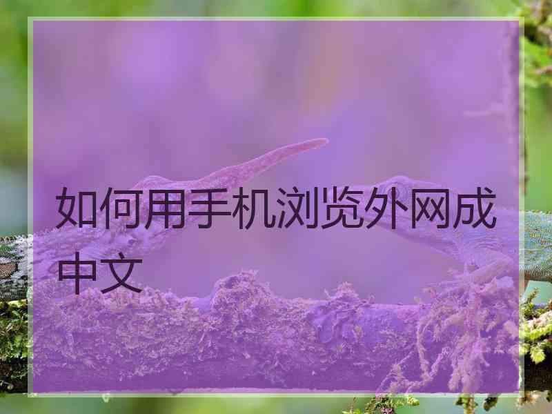 如何用手机浏览外网成中文