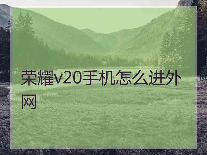 荣耀v20手机怎么进外网