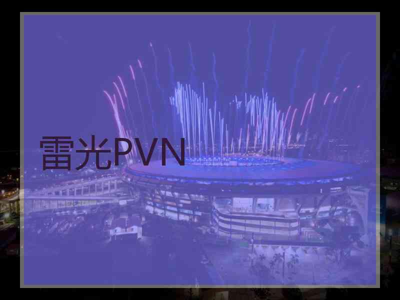 雷光PVN