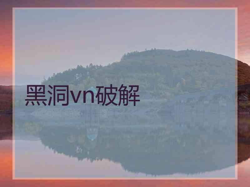 黑洞vn破解