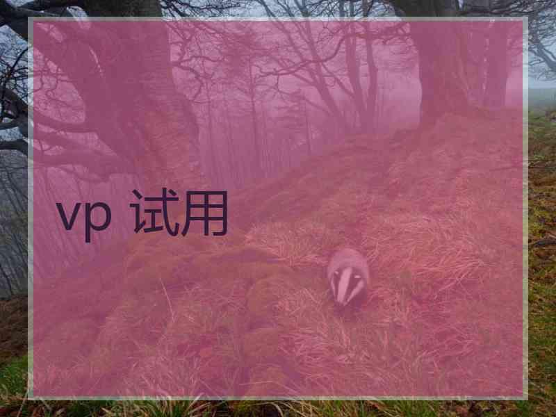 vp 试用