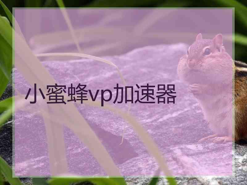 小蜜蜂vp加速器